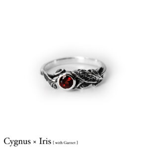 Cygnus-Iris-Garnet